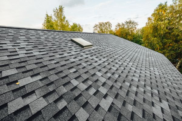 Shingle Replacement